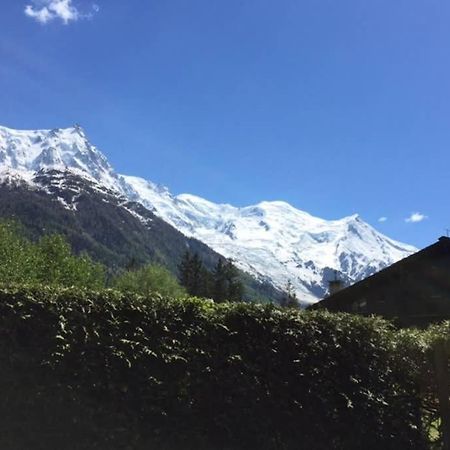 Studio Au Calme Avec Jardin Et Vue Mont-Blanc Σαμονί Εξωτερικό φωτογραφία
