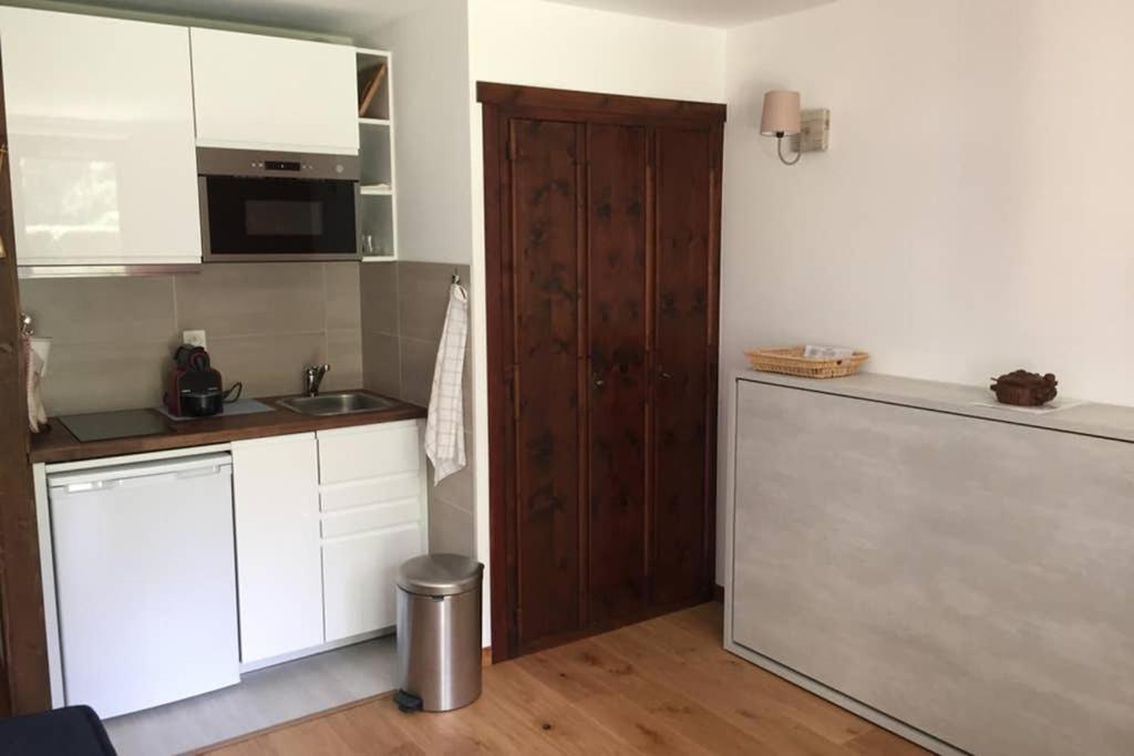 Studio Au Calme Avec Jardin Et Vue Mont-Blanc Σαμονί Εξωτερικό φωτογραφία