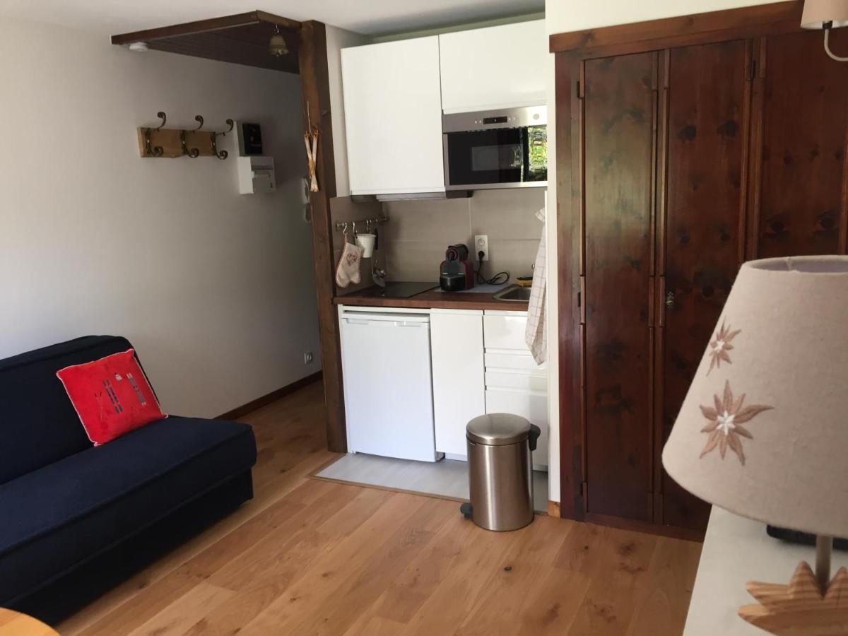 Studio Au Calme Avec Jardin Et Vue Mont-Blanc Σαμονί Εξωτερικό φωτογραφία