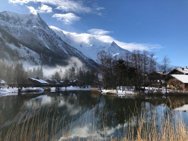 Studio Au Calme Avec Jardin Et Vue Mont-Blanc Σαμονί Εξωτερικό φωτογραφία
